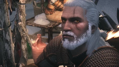 Geralt Of Rivia SSE Voiced Follower The Witcher