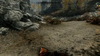 just random riften pic