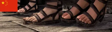 Sturdy Sandals SE-Chinese translation