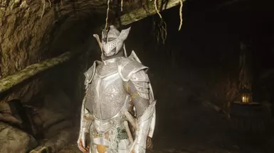 Silver-Blood guards in Cidhna Mine