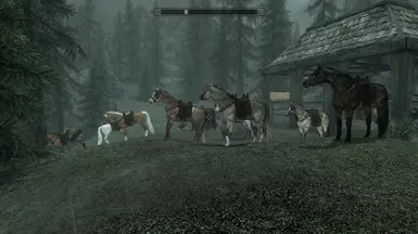 Gift Horses Ext
