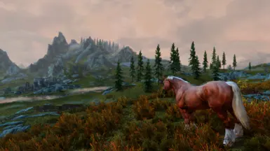 Cavalry - Comprehensive Mount System