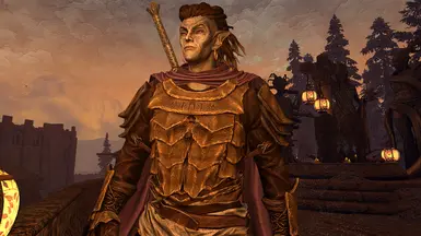Nerevarine