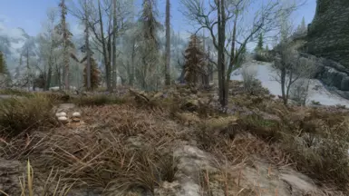 All screenshots taken with vanilla game, CS suite, Azurite, and Happy Little Trees