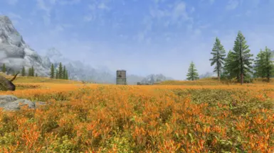I love Tundra Esports
