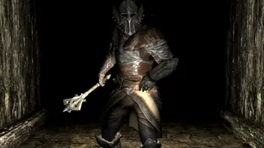 Vigil Knight Armor - Divine Crusader Mashup