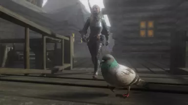 Mjoll the Pigeoness