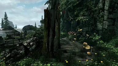 Maple Forest House entrance - Without Patch