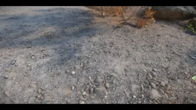 Reachdirt01