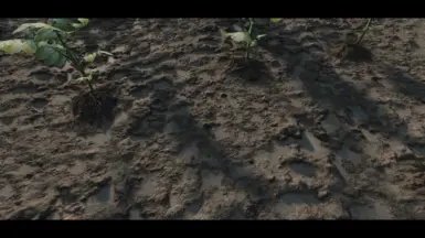 Dirt01 Muddy