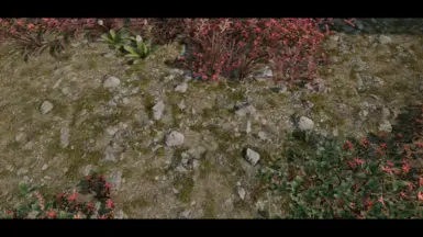 Green Tundra01