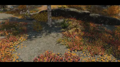 Fallforestgrass01