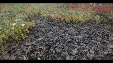 Rocks01
