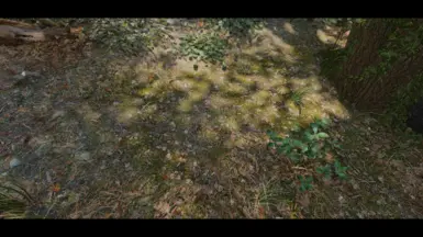 Mossy Fieldgrass02