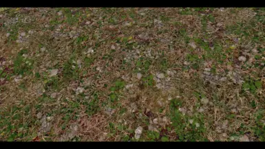 Original Green Tundra01