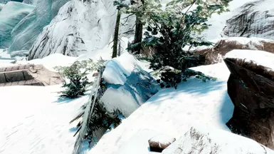 Without DLC1FallenBranchSnowH01 replaced