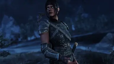 Katana's Shade