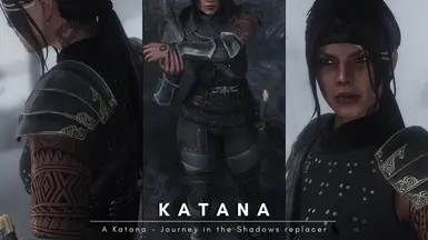 Katana + Armor