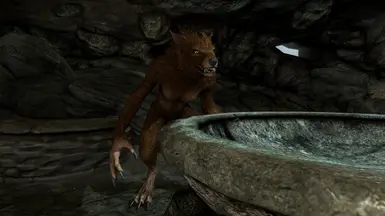 Vanilla-Like Aela