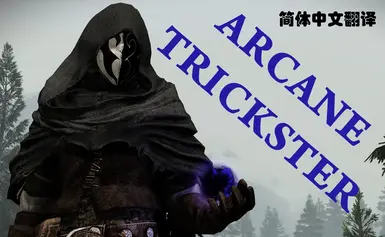 Arcane Trickster Mask and Robes - CHS