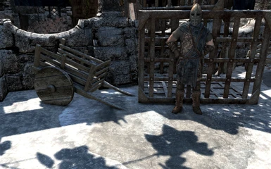 SIP SE with NORDIC SKYRIM Guide Textures