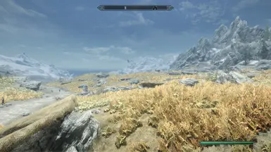 No Reshade