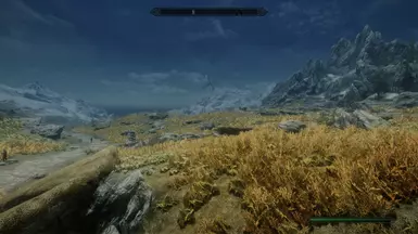 Reshade