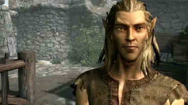 Altmer male