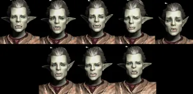 Female Orc ear morphs based on FOO