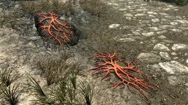 Not Too High Poly flora01 and flora02
