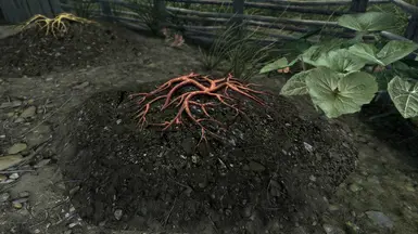 byoh plantable