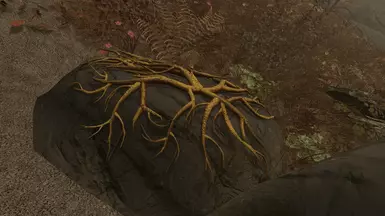 ash creep cluster 1