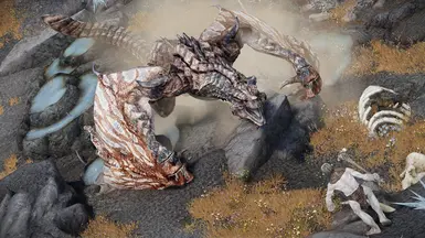 D4D Dragon Variant 3