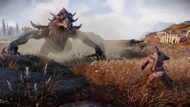 D4D Dragon Variant 4