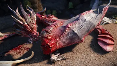 D4D Elder/Ancient Dragon Variant 2