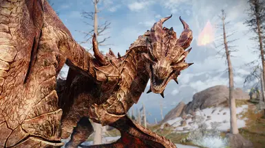 D4D Revered Dragon Variant 3