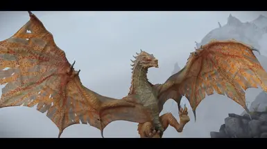 D4D Revered Dragon Variant 5