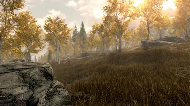 Camp Hunter's Shacks WHERE?! - Vanilla