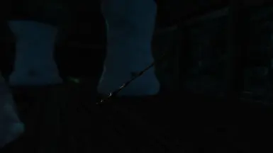 The Elder Wand