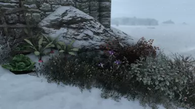 The small garden (V1.0).