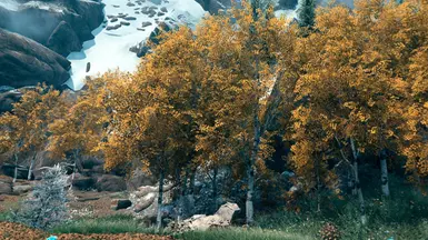 Aspens Ablaze - Falmer Valley