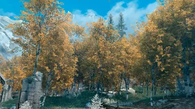 Aspens Ablaze - Falmer Valley