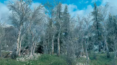 Before Mod
