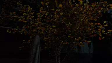 Realistic Aspen Tree in Castle Volkihar Courtyard