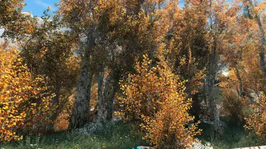 Realistic Aspen Trees - Get lost in a leafy wilderness
