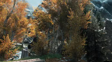 Realistic Aspen Trees - Falmer Valley feels more alive