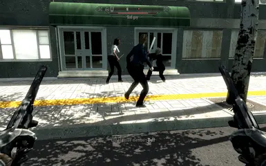 1.3.1 BIS