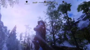 Mists of Tamriel - CHT