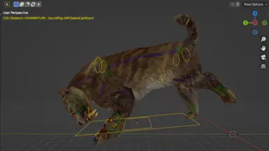 Skeleton in Blender