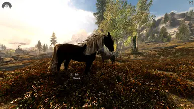 A wild unicorn in a Horses Gone Wild herd